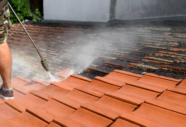 Best Pressure Washing Services for Businesses  in Bushnell, FL