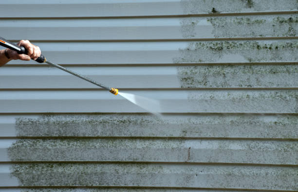Best Pressure Washing Driveway  in Bushnell, FL