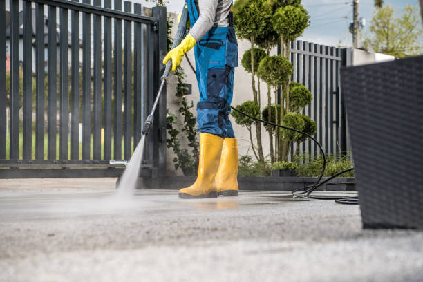 Best Roof Pressure Washing  in Bushnell, FL