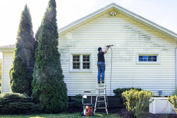 Best Affordable Pressure Washing  in Bushnell, FL