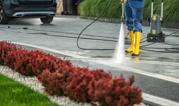Best Local Pressure Washing Services  in Bushnell, FL