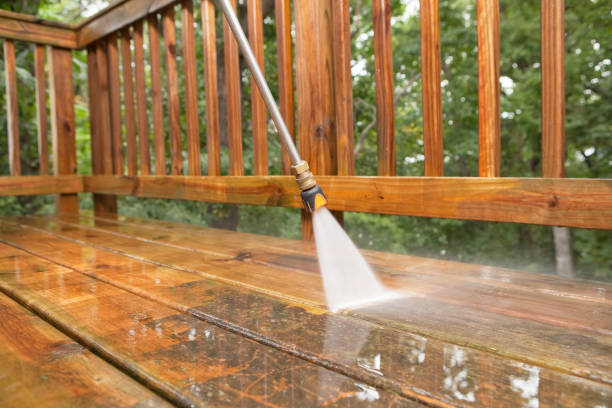 Best Pressure Washing Contractors  in Bushnell, FL