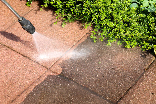 Best Power Washing Near Me  in Bushnell, FL