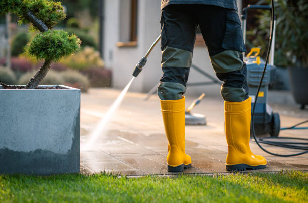 Best Best Pressure Washing Companies  in Bushnell, FL